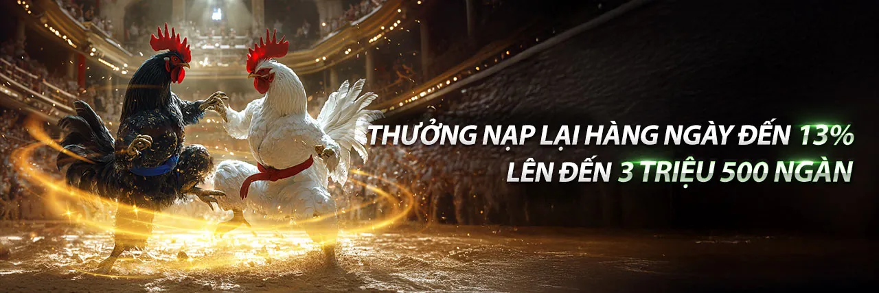 Đá Gà Trực Tiếp 7/7